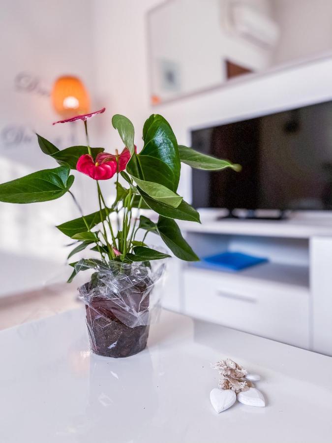 Myhouse Inn Torino - Affitti Brevi Italia Collegno Bagian luar foto